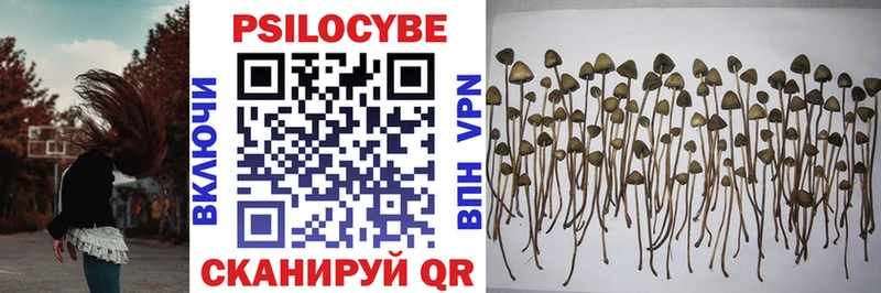 Псилоцибиновые грибы GOLDEN TEACHER Юрюзань